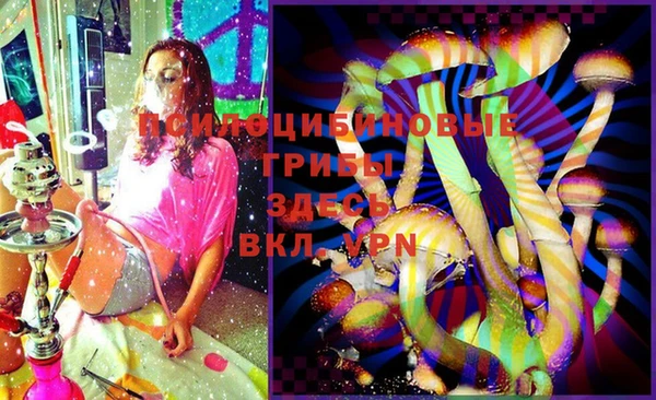 прущий лед Абаза