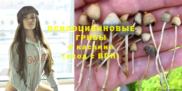 прущий лед Абаза