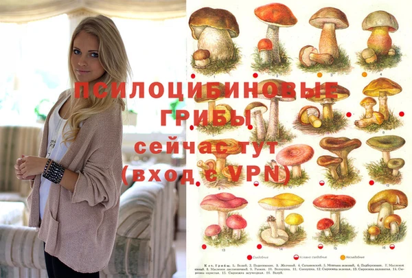 синтетический гашиш Абдулино