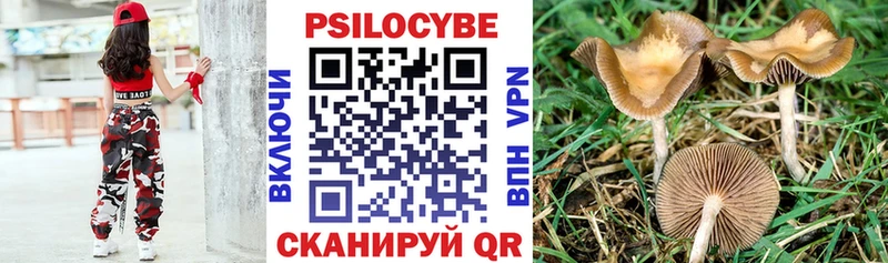 Галлюциногенные грибы Psilocybine cubensis  Яранск 