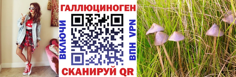 Псилоцибиновые грибы MAGIC MUSHROOMS Яранск